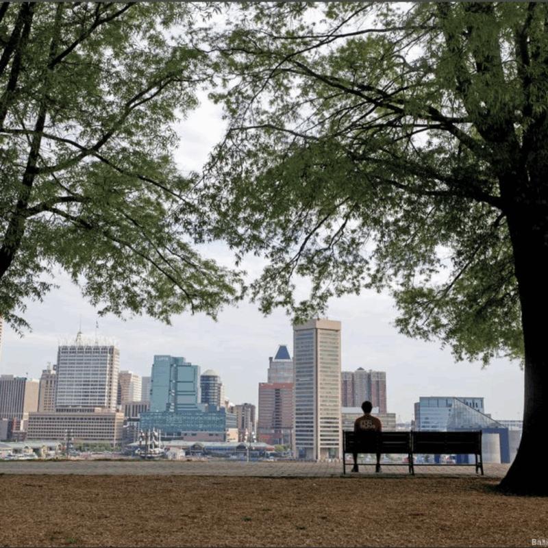 Baltimore Skyline